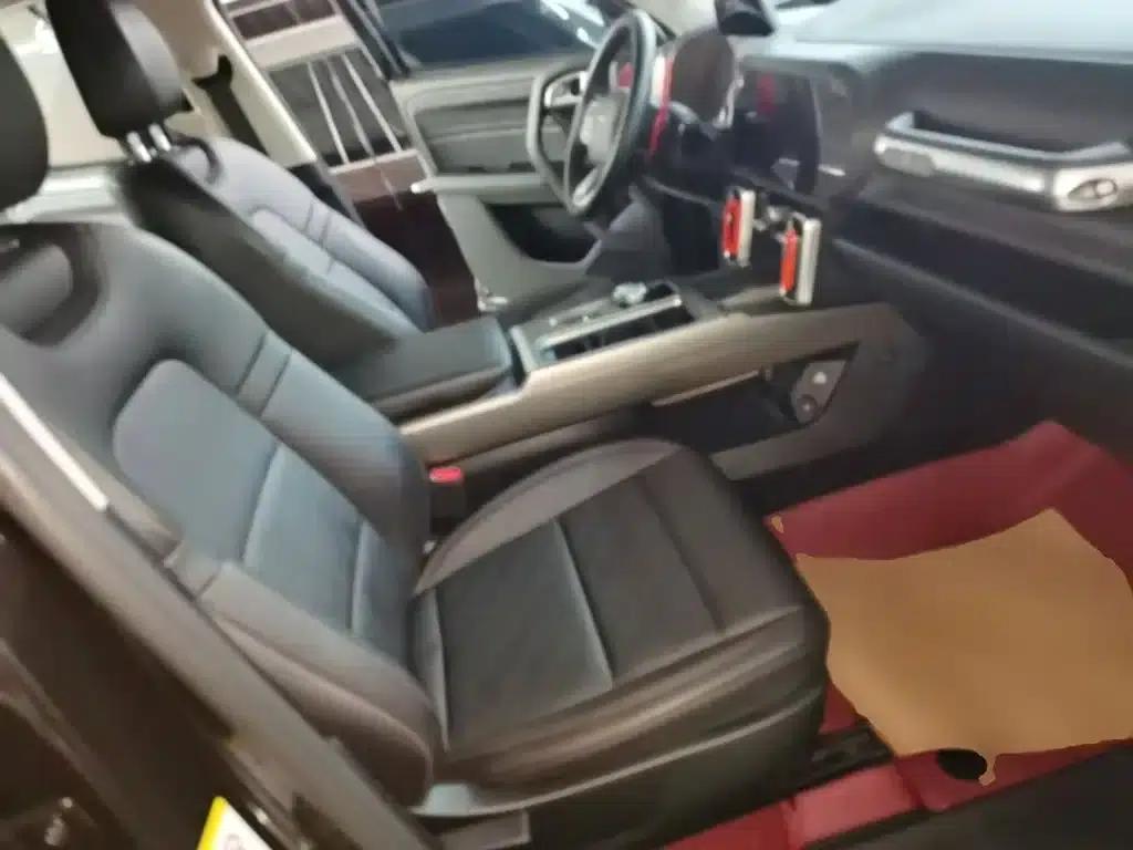 Haval Big Dog 2021 1.5T DCT 2WD Labrador Edition — миниатюра 25