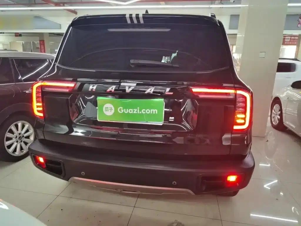 Haval Big Dog 2021 1.5T DCT 2WD Labrador Edition — миниатюра 6