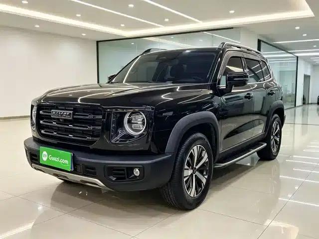 Haval Big Dog 2021 1.5T DCT 2WD Labrador Edition