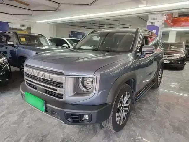 Haval Big Dog 2024 1.5T DCT Labrador Edition
