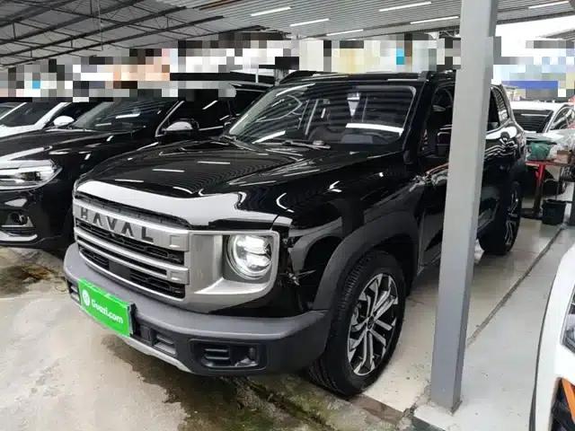Haval Big Dog 2024 1.5T DCT Labrador Edition