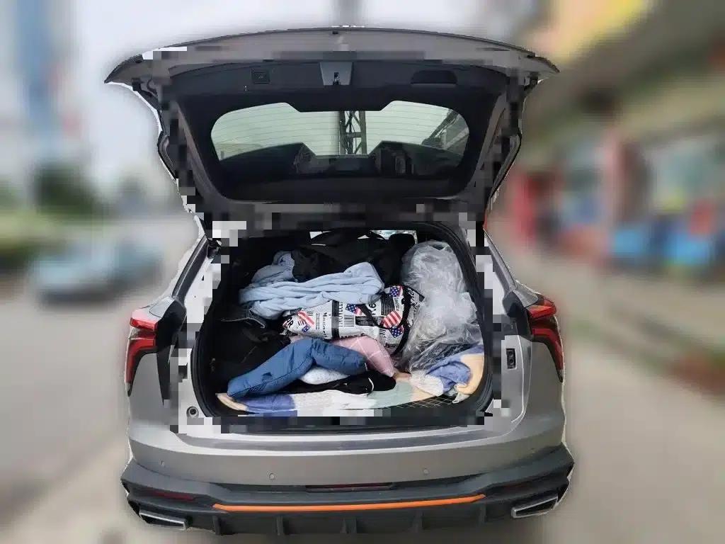 Haval Mythical Beast 2022 1.5T Smart Edition — миниатюра 10