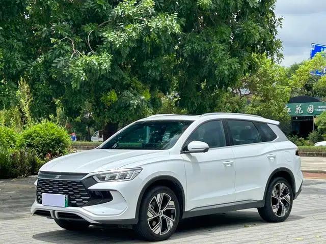 Song Pro DM 2023 DM-i Champion Edition 110km Excellent Model
