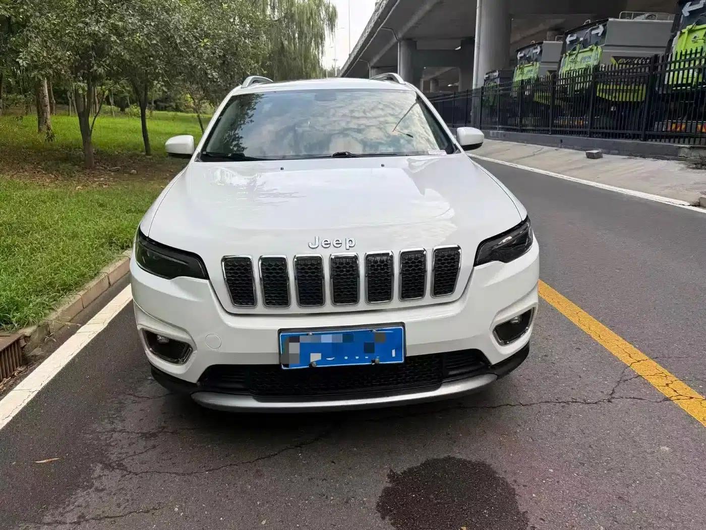 Jeep Cherokee 2020 2.0T 2WD Leading Edition — миниатюра 2