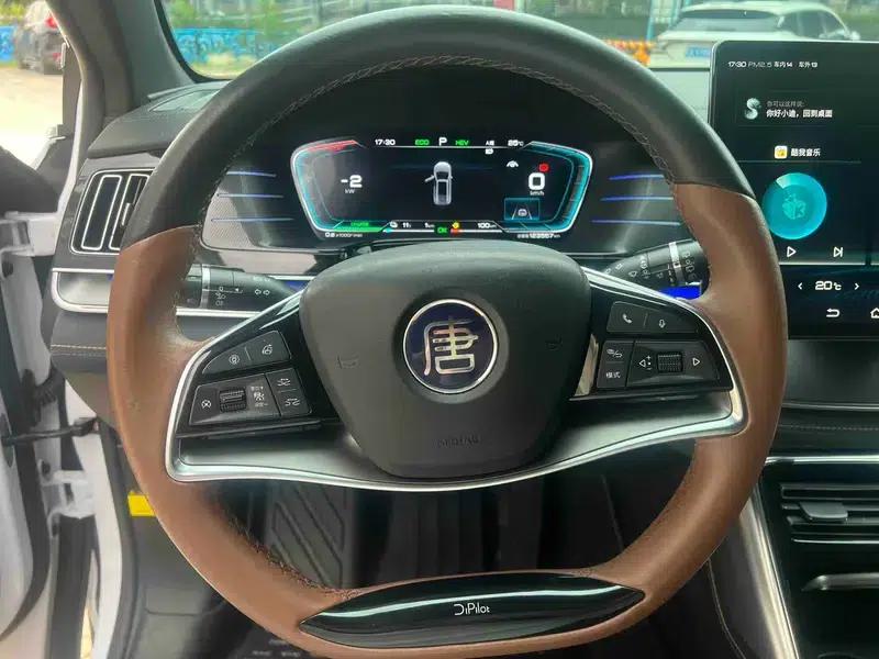 Tang DM 2021 DM 2.0T AWD High Performance Edition Genesis Flagship — миниатюра 17