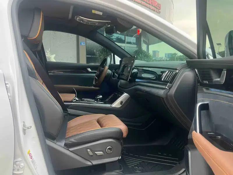 Tang DM 2021 DM 2.0T AWD High Performance Edition Genesis Flagship — миниатюра 22