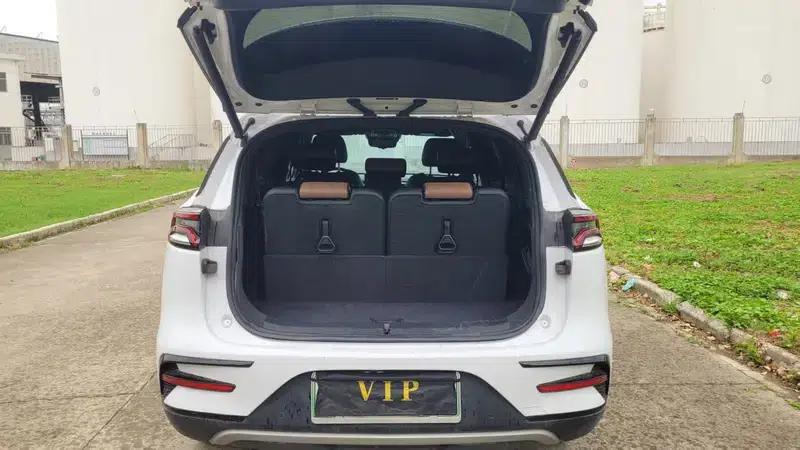 Tang DM 2021 DM-i 1.5T 112KM Premium Edition — миниатюра 14