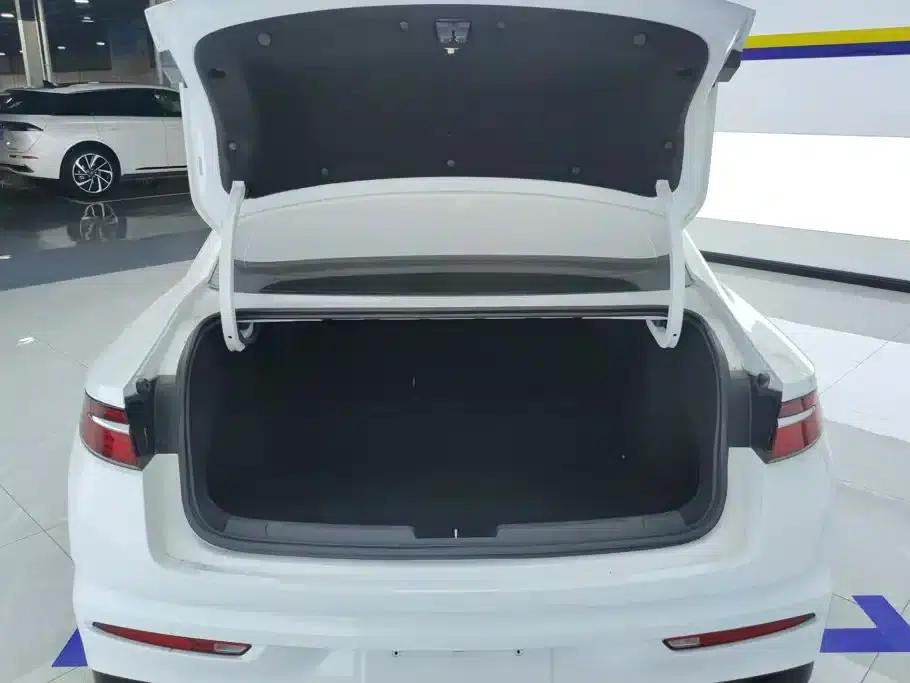 Xingrui 2021 2.0TD Luxury Edition — миниатюра 4