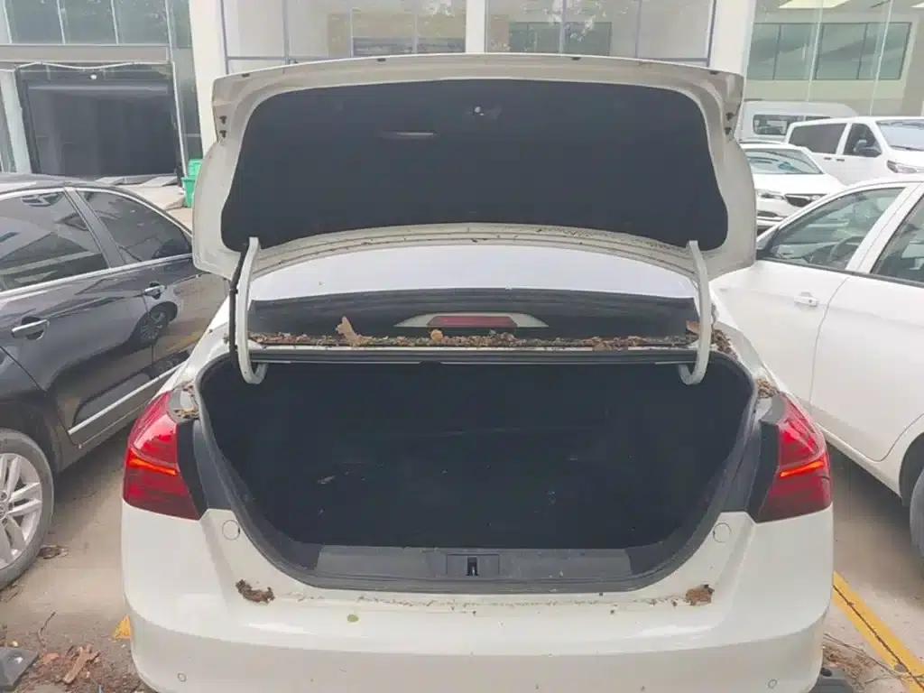 Geely Emgrand 2018 1.5L CVT Luxury Edition — миниатюра 19