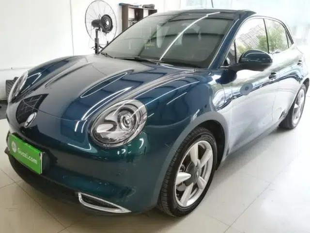 ORA Good Cat 2023 401 km Standard Range Luxury Version Lithium Iron Phosphate