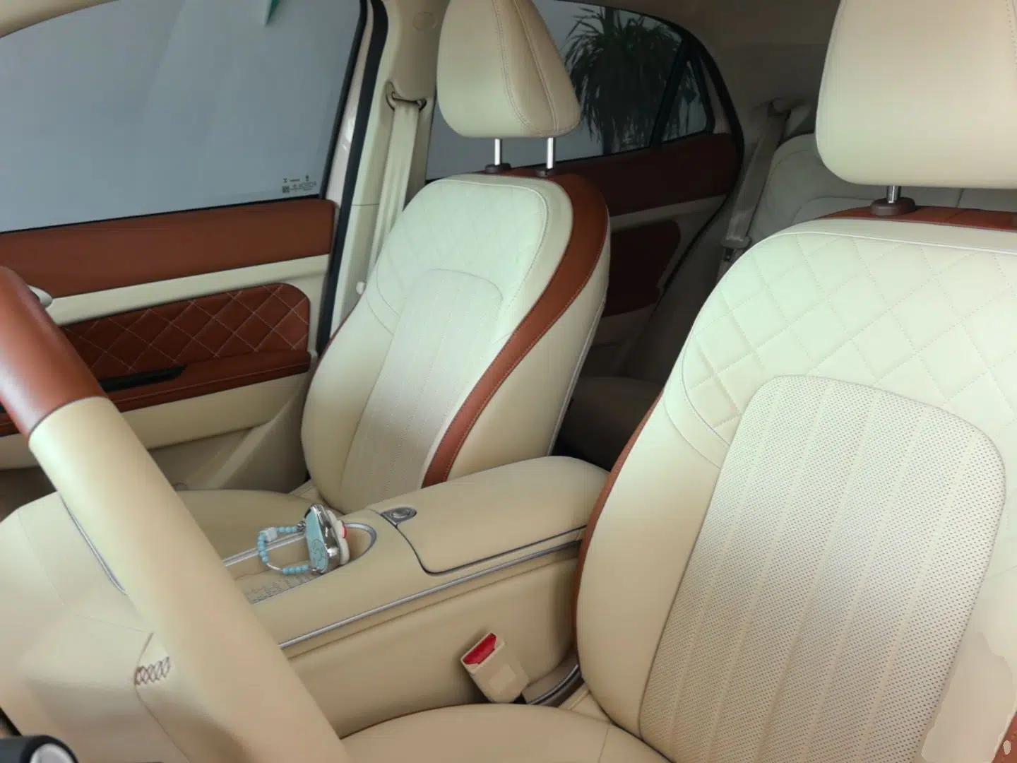ORA Good Cat 2024 401 km Luxury Version 126 kW — миниатюра 17
