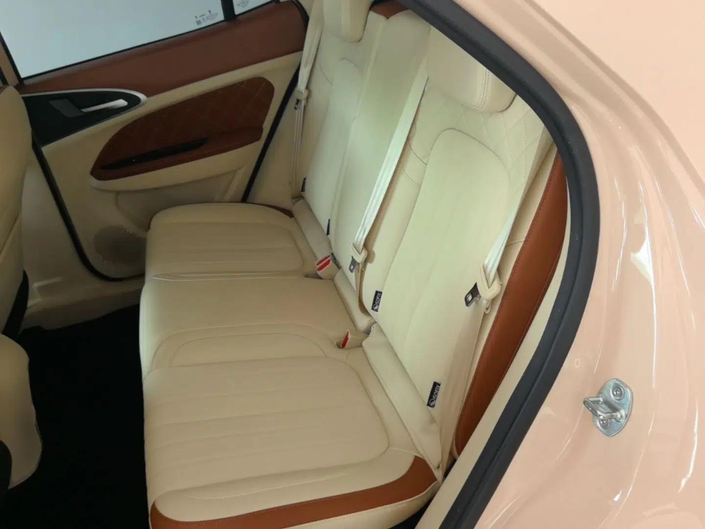 ORA Good Cat 2024 401 km Luxury Version 126 kW — миниатюра 20
