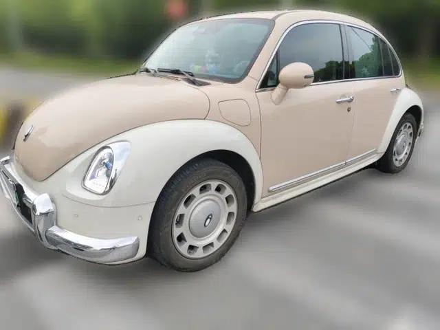 ORA Ballet Cat 2023 401 km Luxury Version