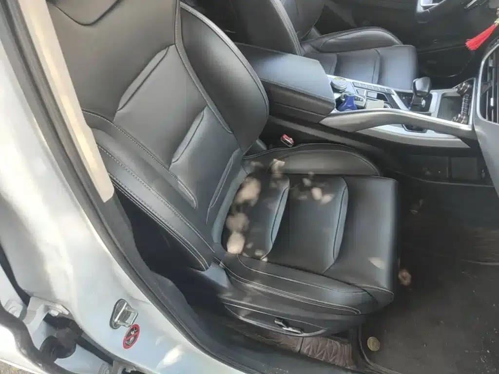 Geely Xingyue 2019 300T Shining Star — миниатюра 25