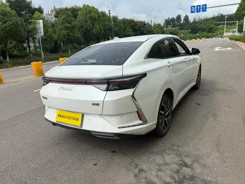 Aeolus Yixuan 2021 230T Automatic Dream Edition — миниатюра 6