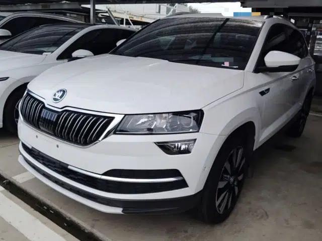 Skoda Karoq 2020 TSI280 Luxury Smart Edition China VI Standard