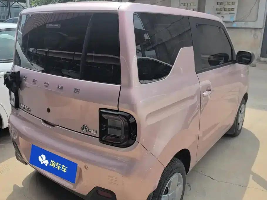 Panda 2024 Panda Mini 200km Endurance Bear — миниатюра 3