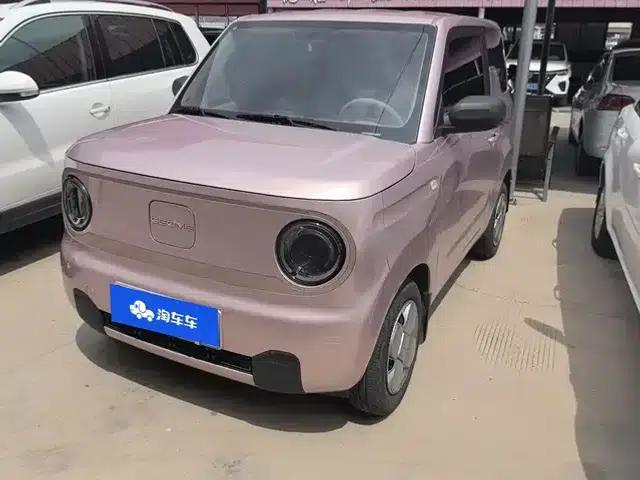 Panda 2024 Panda Mini 200km Endurance Bear