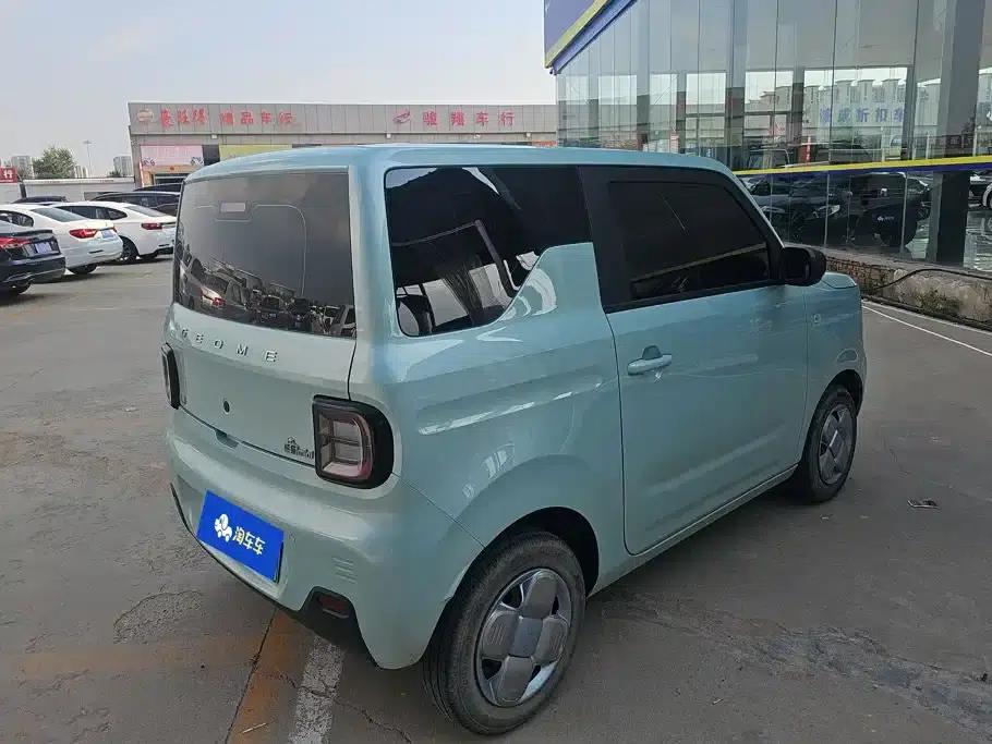 Panda 2023 Panda Mini 200km Endurance Bear — миниатюра 3
