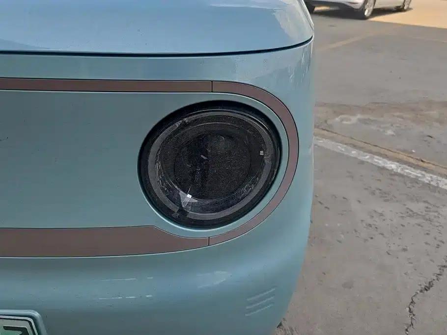 Panda 2023 Panda Mini 200km Endurance Bear — миниатюра 5