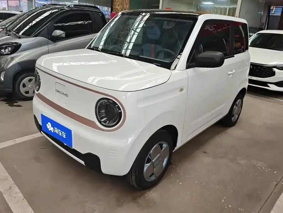 Panda 2024 Panda Mini 200km Endurance Bear — миниатюра 1