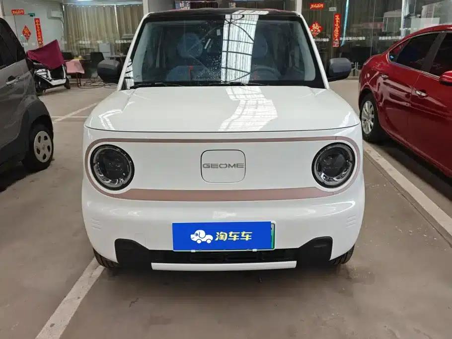 Panda 2024 Panda Mini 200km Endurance Bear — миниатюра 2
