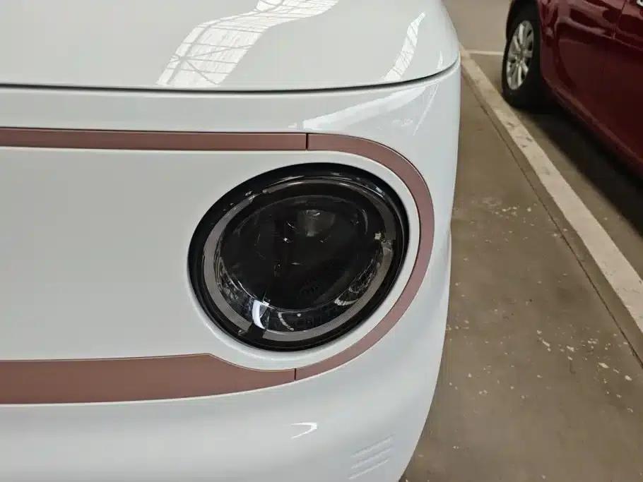 Panda 2024 Panda Mini 200km Endurance Bear — миниатюра 5