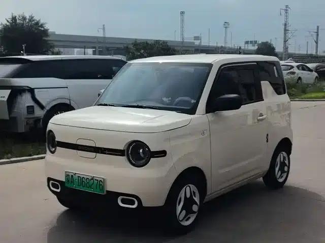 Panda 2025 Panda Mini 210km - Energetic Bear