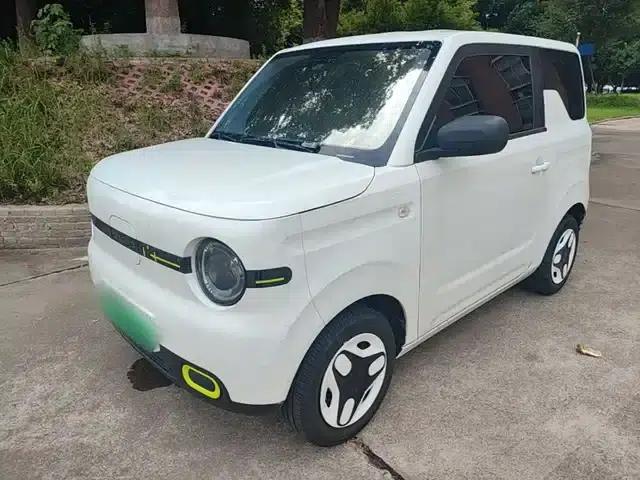 Panda 2025 Panda Mini 210km - Energetic Bear
