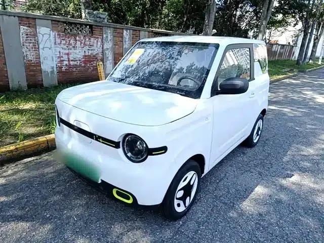 Panda 2025 Panda Mini 210km - Energetic Bear