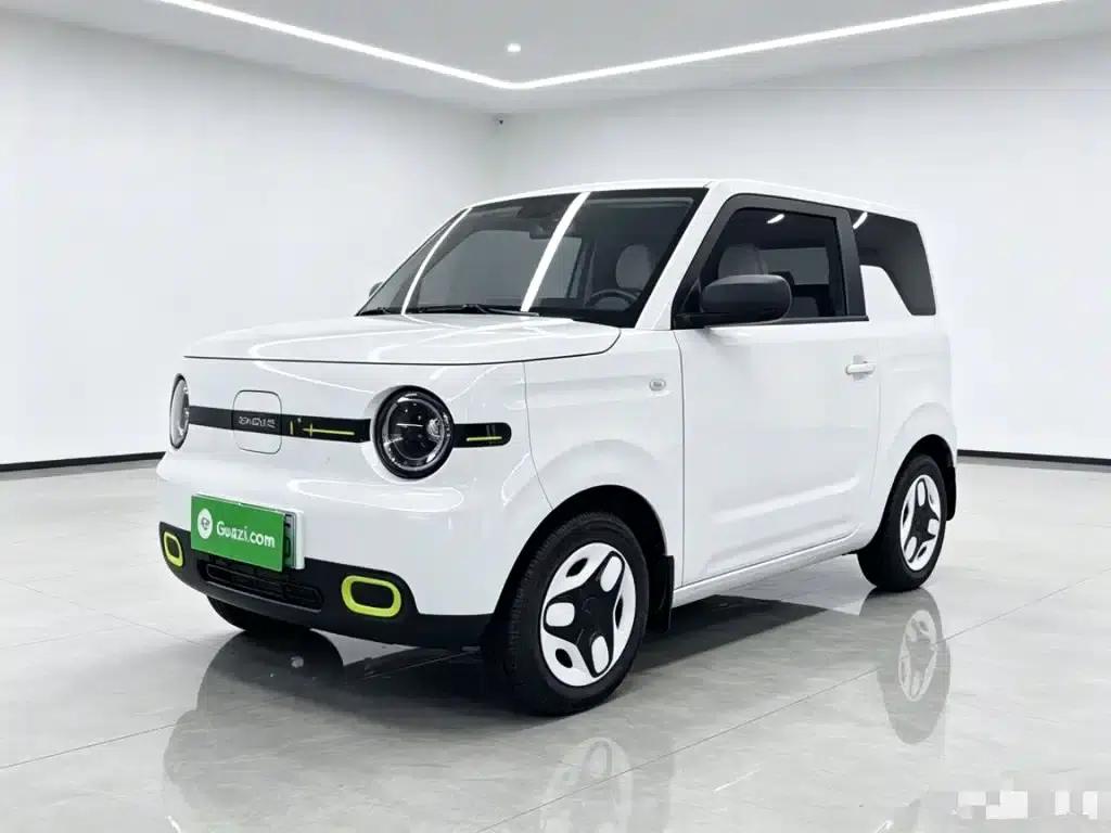 Panda 2025 Panda Mini 210km - Energetic Bear — миниатюра 2