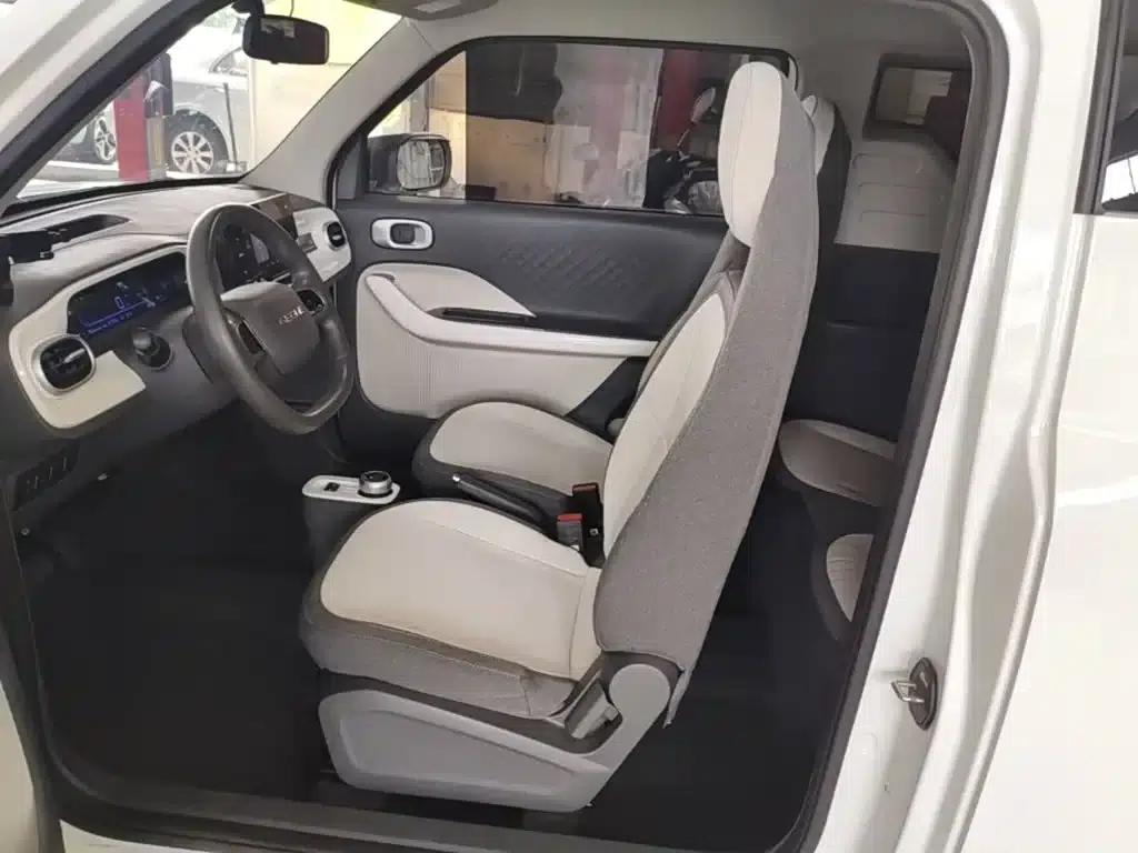 Panda 2025 Panda Mini 210km - Energetic Bear — миниатюра 15