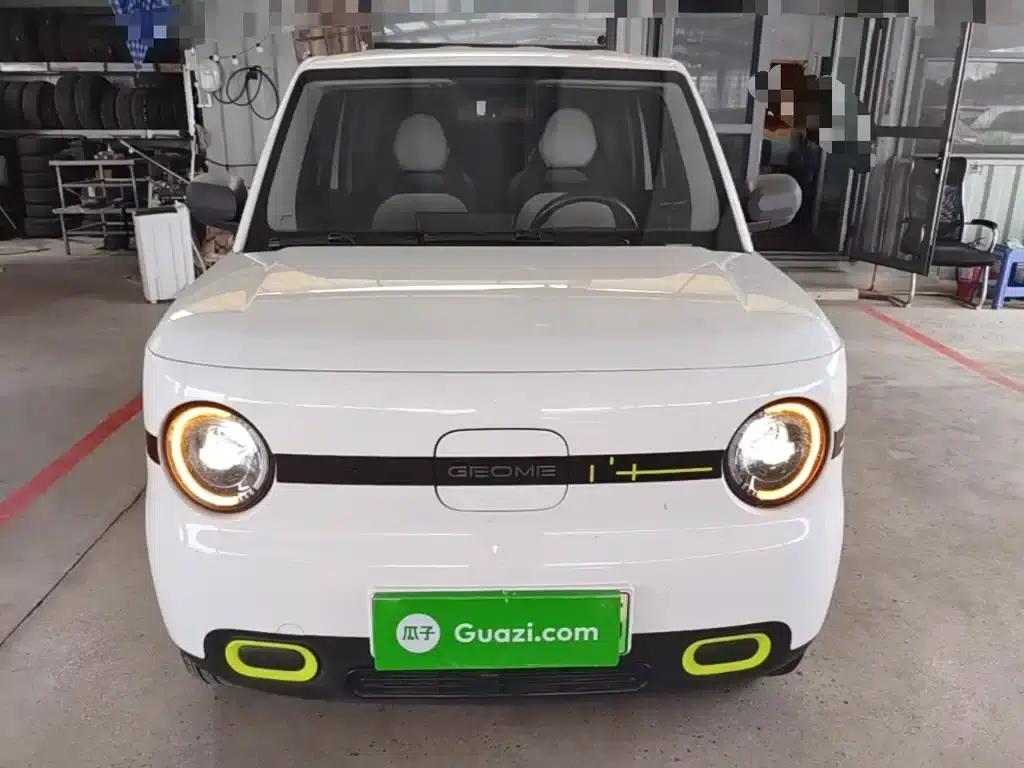 Panda 2025 Panda Mini 210km - Energetic Bear — миниатюра 3