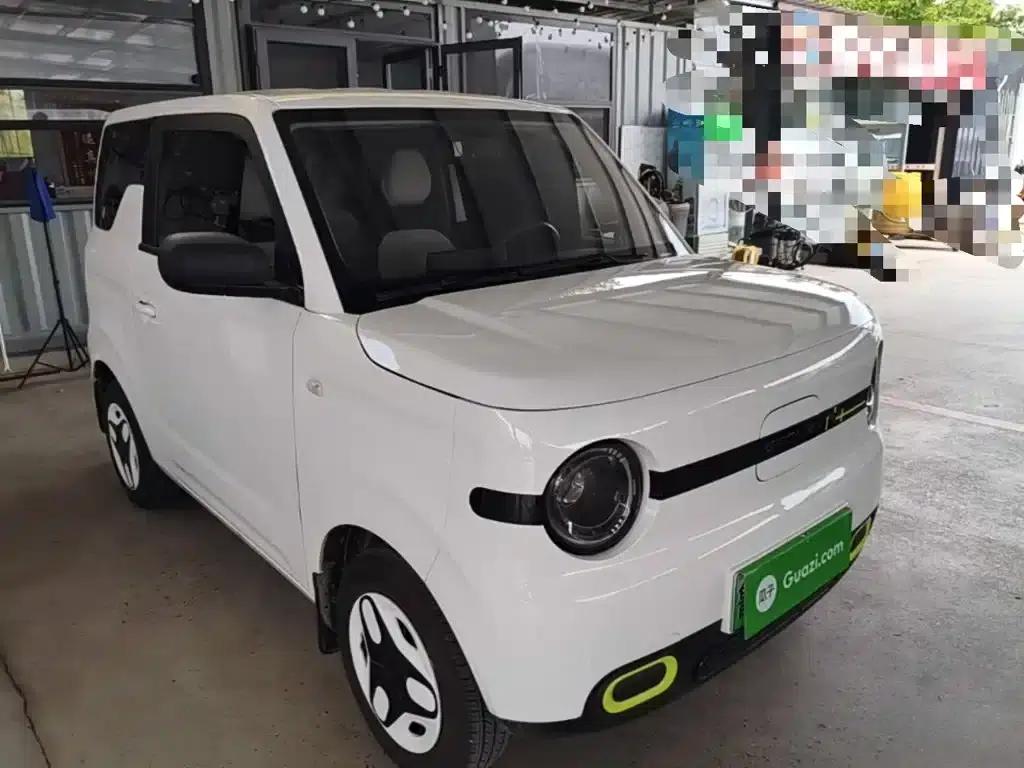 Panda 2025 Panda Mini 210km - Energetic Bear — миниатюра 4