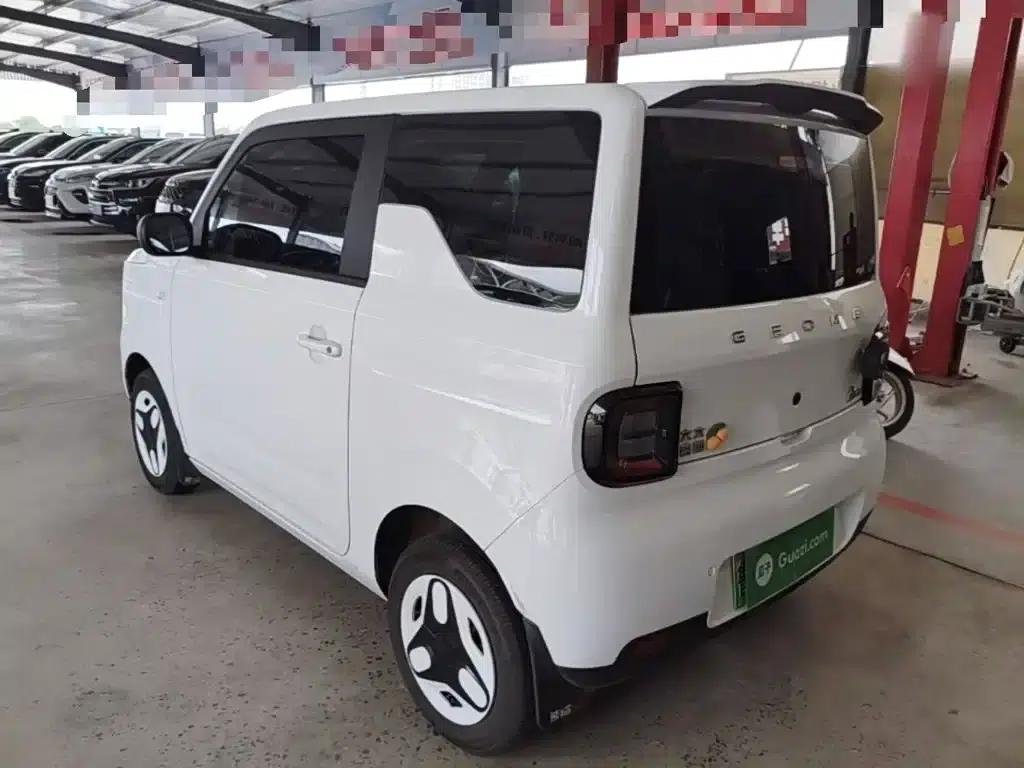 Panda 2025 Panda Mini 210km - Energetic Bear — миниатюра 5