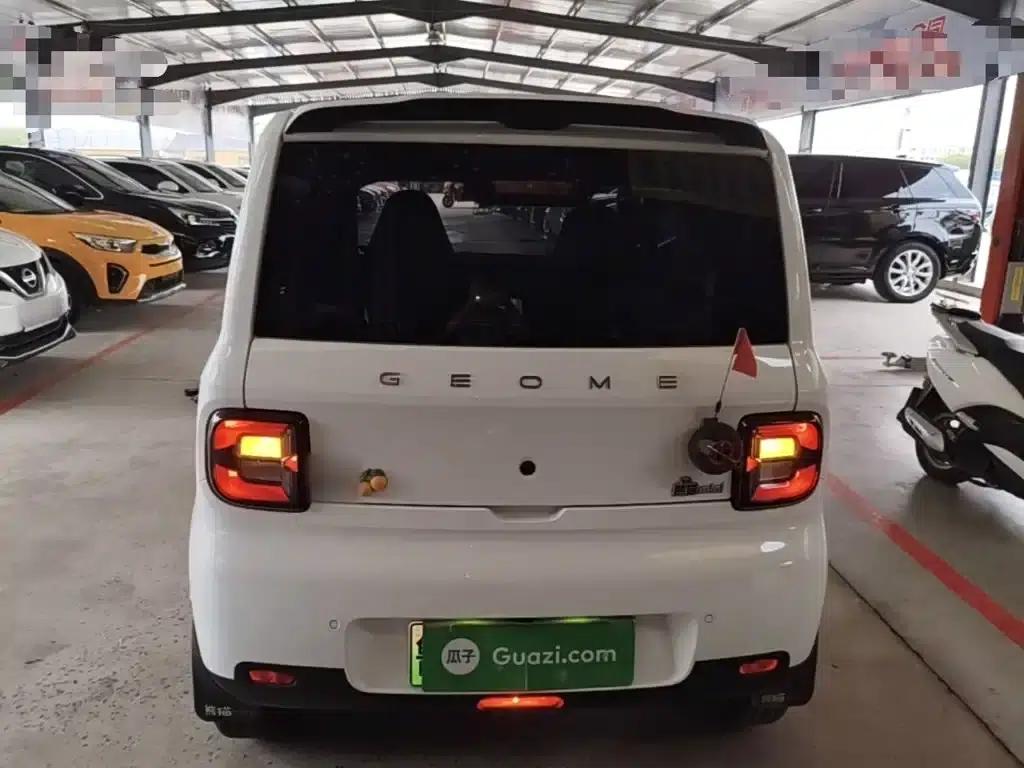 Panda 2025 Panda Mini 210km - Energetic Bear — миниатюра 6
