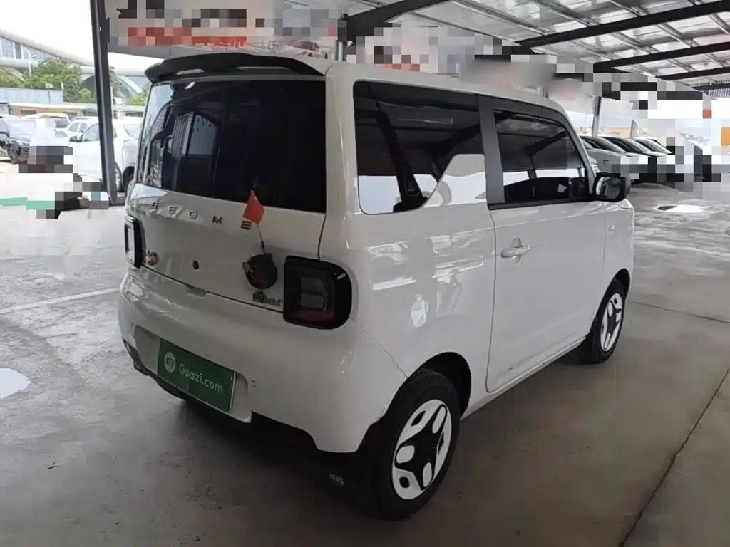 Panda 2025 Panda Mini 210km - Energetic Bear — миниатюра 7