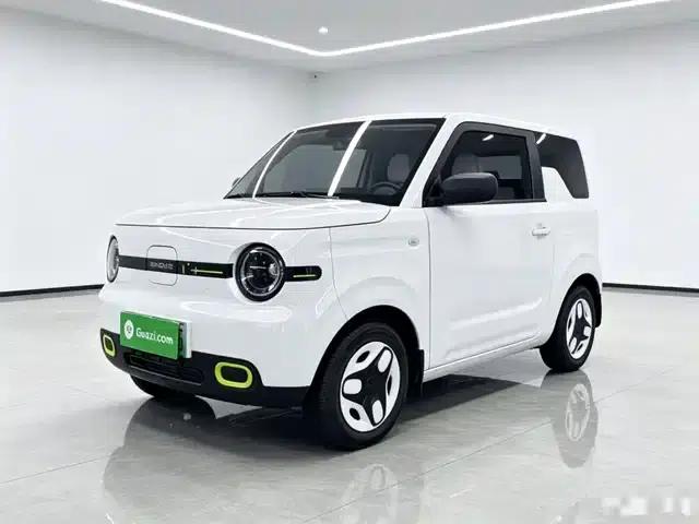 Panda 2025 Panda Mini 210km - Energetic Bear
