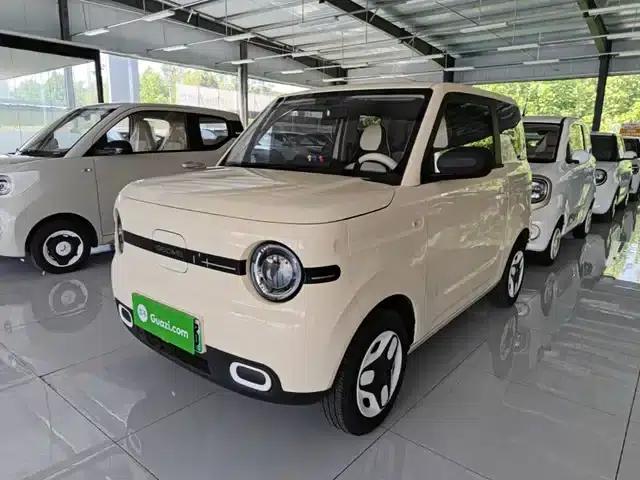 Panda 2025 Panda Mini 210km - Energetic Bear