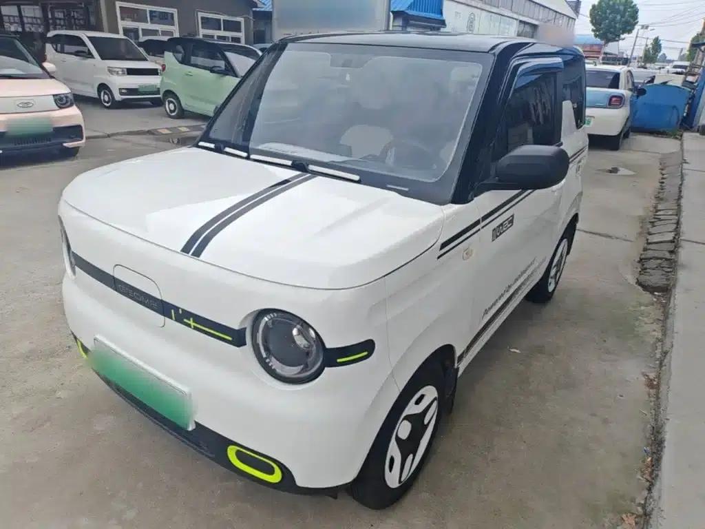 Panda 2025 Panda Mini 210km - Energetic Bear — миниатюра 2