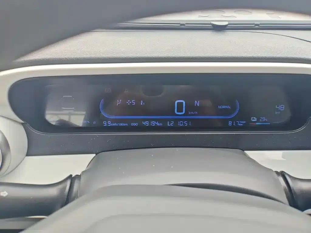 Panda 2025 Panda Mini 210km - Energetic Bear — миниатюра 12