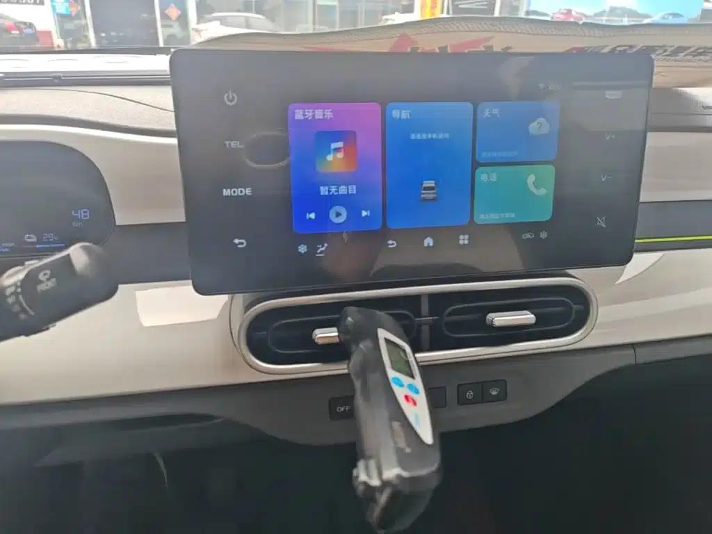 Panda 2025 Panda Mini 210km - Energetic Bear — миниатюра 13