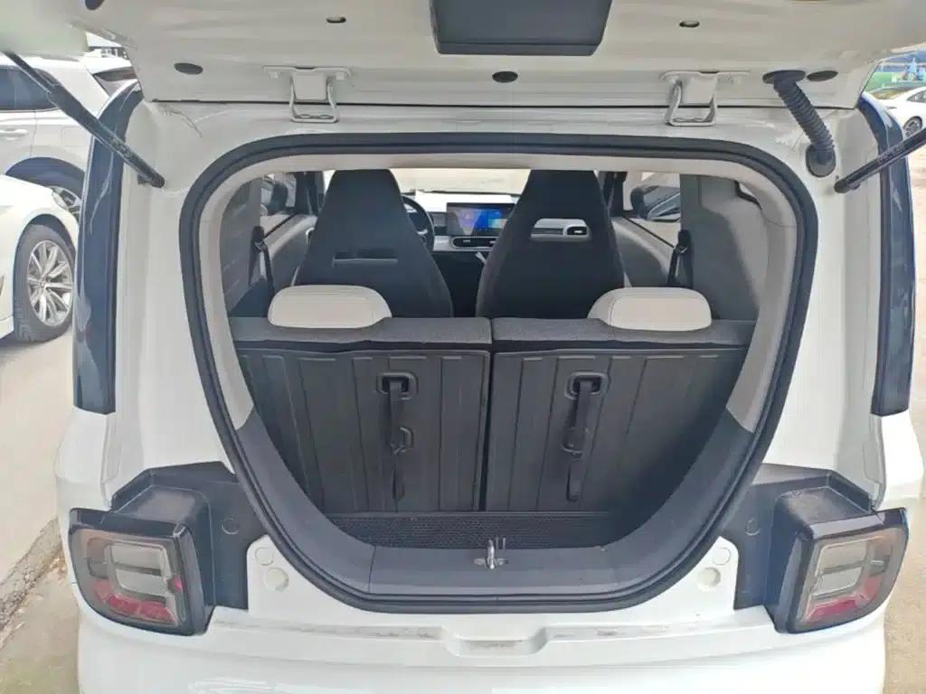 Panda 2025 Panda Mini 210km - Energetic Bear — миниатюра 19