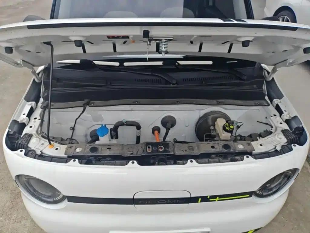 Panda 2025 Panda Mini 210km - Energetic Bear — миниатюра 20