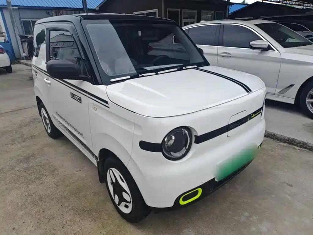 Panda 2025 Panda Mini 210km - Energetic Bear — миниатюра 4