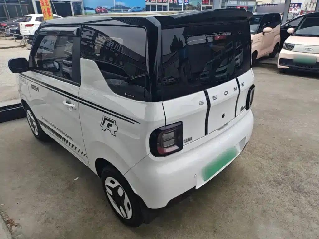 Panda 2025 Panda Mini 210km - Energetic Bear — миниатюра 5
