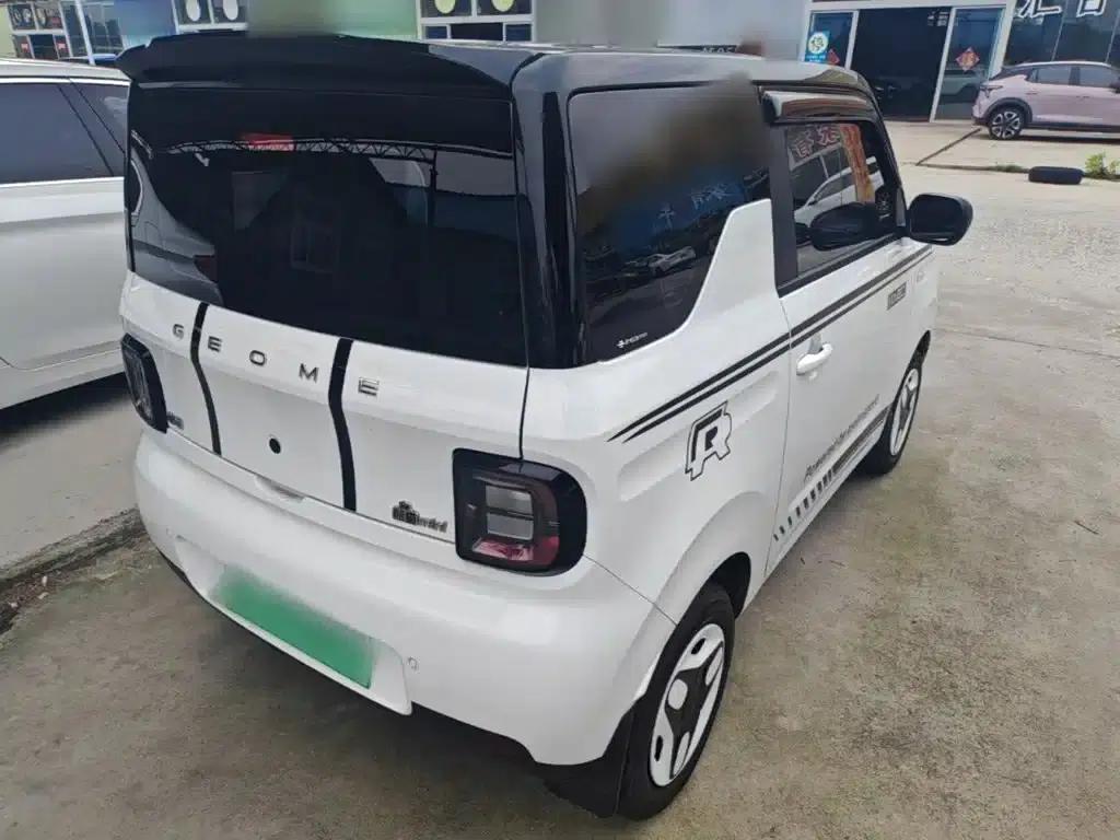 Panda 2025 Panda Mini 210km - Energetic Bear — миниатюра 7