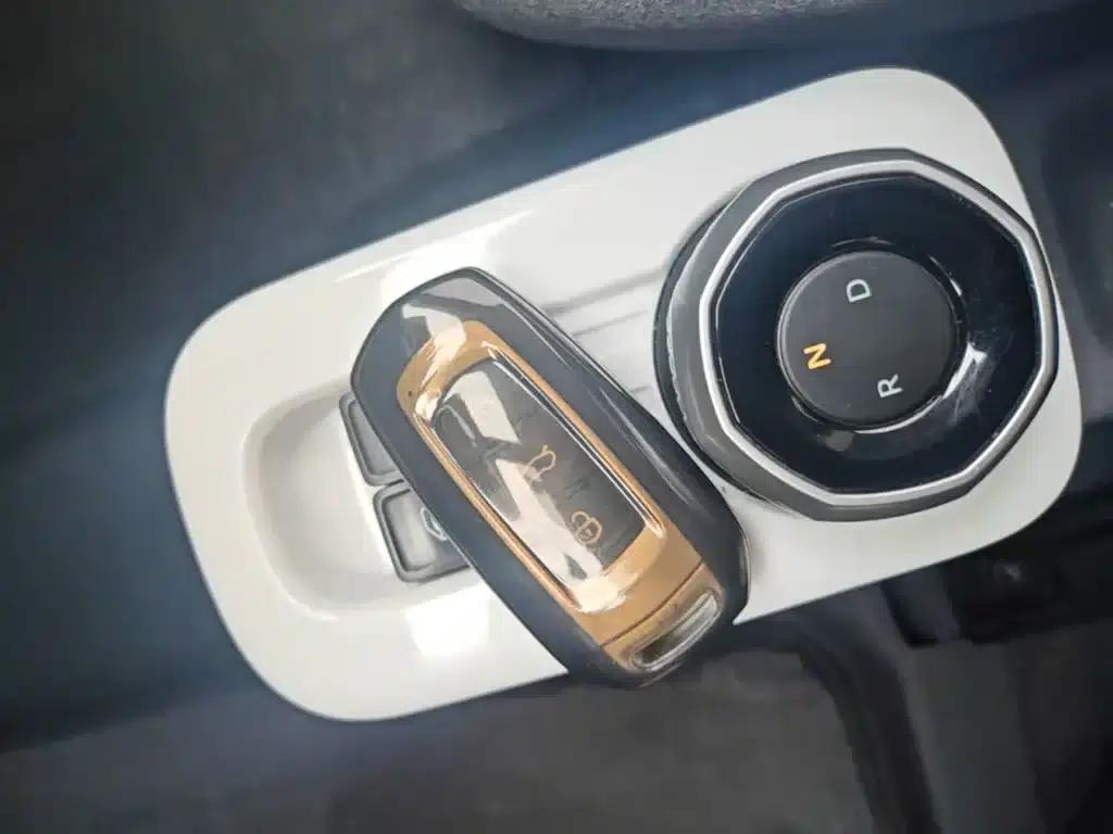 Panda 2025 Panda Mini 210km - Energetic Bear — миниатюра 9