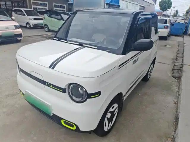 Panda 2025 Panda Mini 210km - Energetic Bear