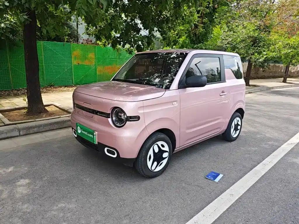 Panda 2025 Panda Mini 210km - Energetic Bear — миниатюра 1